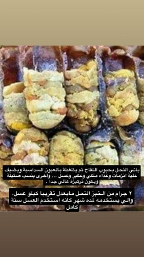 خبز النحل بلدي