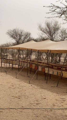 عسل مجرى ابيض محلي