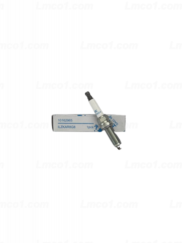 حبة بوجي ام جي جي اس ام جي اتش اس ار اكس 5 MG GS H...