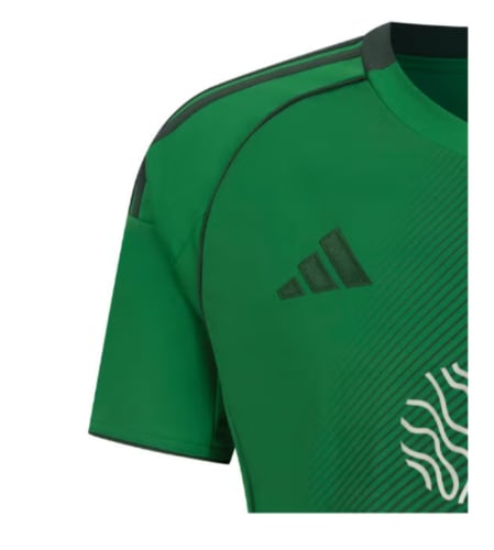 تيشيرت الأهلي الاساسي 2026