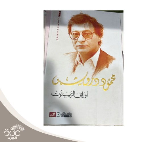 أوراق الزيتون