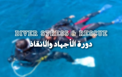 دورة ( Rescue ) الانقاذ