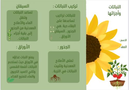 النباتات وأجزائها