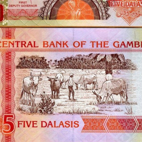 غامبيا فئة 5 دالاسي أنسر اصدار قديم