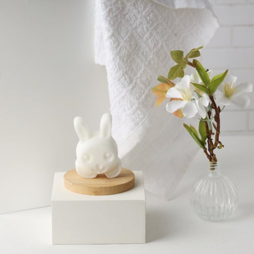 صابون قوالب الجسم