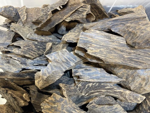 زوايا الفتنامي الطبيعي المحسن بيور