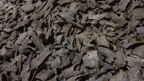 زوايا الكمبودي تربل وأعلى سواد طبيعي