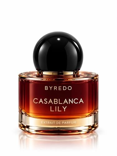 CASABLANCA LILY