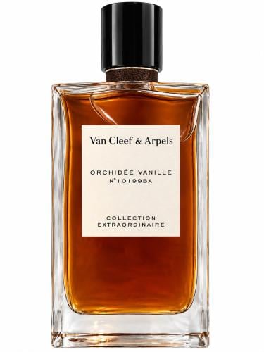 ORCHIDEE VANILLE