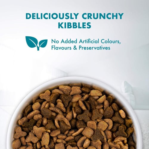 بيورينا وان طعام القطط - طعام القطط الجاف من سمك ا...