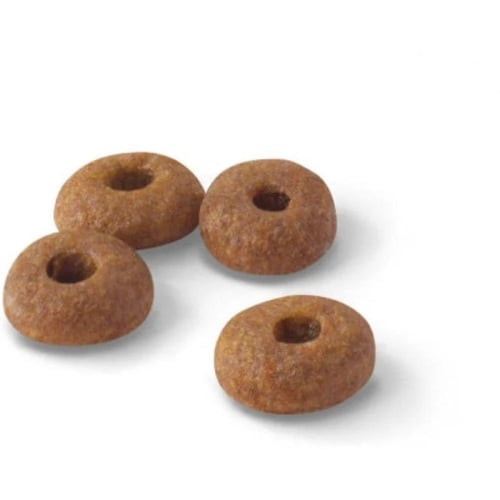 رويال كانين طعام جاف فت 32 للقطط 2 كيلو