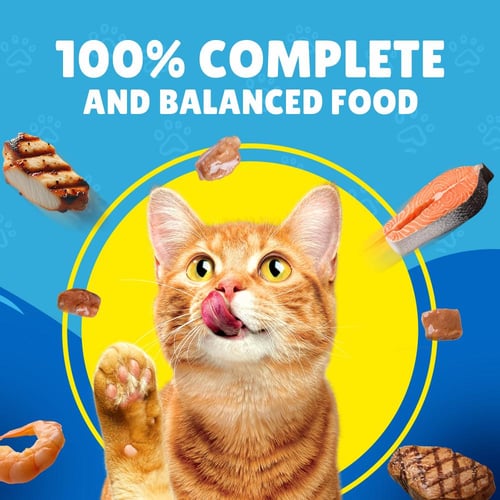 بيورينا فريسكيز سمك السلمون في مرق طعام القطط الرط...