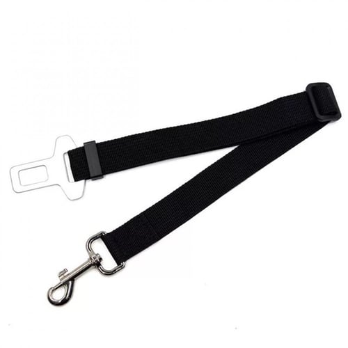 حزام للسياره للكلاب ينفع للقطط