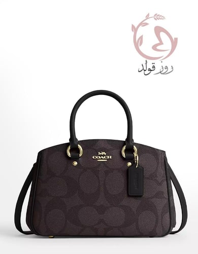 شنطة كروس بودي كوتش