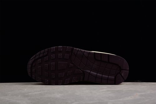 AIR MAX 1 "Light Madder Root"