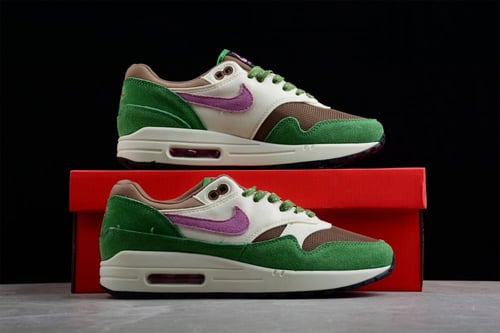 Nike Air Max 1 “Treeline”