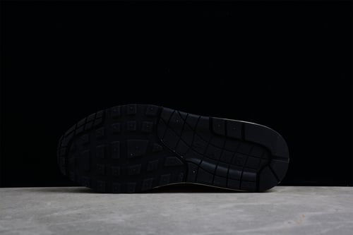 Nike Air Max 1 “Treeline”