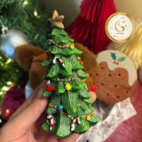 بوكس شتوي صغير