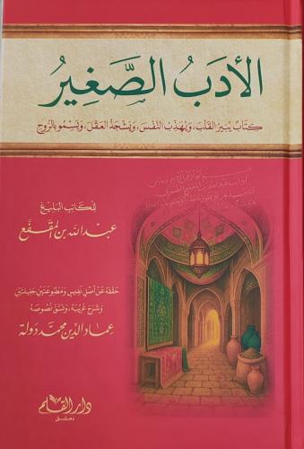 الأدب الصغير