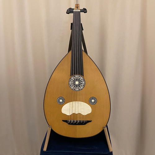 عود رزين الإحترافي سيسم