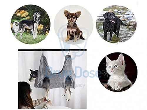 علاقة القرومينق للحيوانات الأليفة