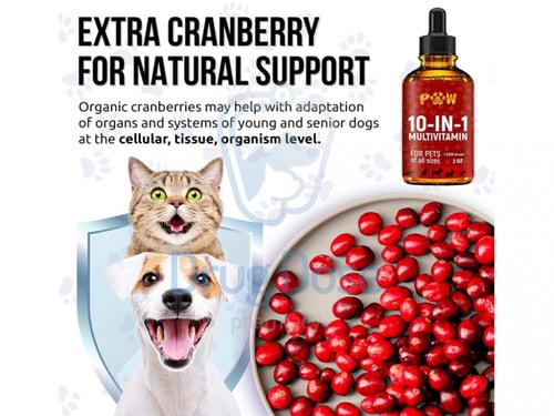 فيتامين 10in1 - Golden Paw