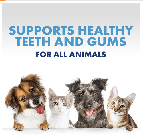 بخاخ للأسنان واللثة للكلاب والقطط من شركة PetSilve...