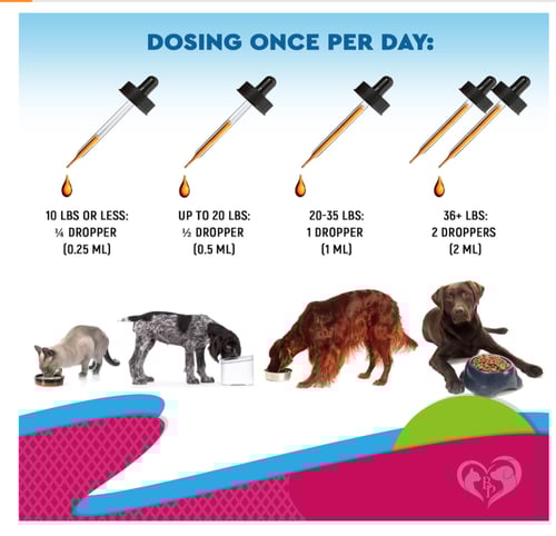 قطرات مدعمه ومعالجه للمسالك البوليه