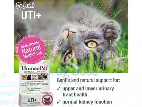 مكمل مدعم للمسالك البولية من شركة - HomeoPet