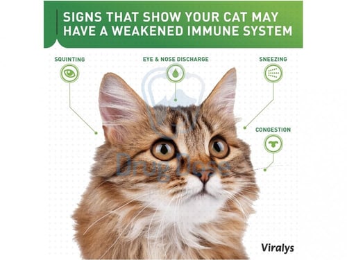 مسحوق اللايسن المركز من شركة Vetoquinol Lysine