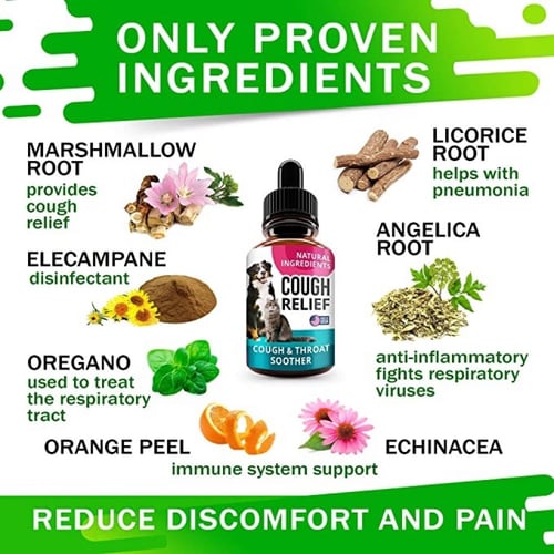 قطرات السعال والجهاز التنفسي للقطط والكلاب