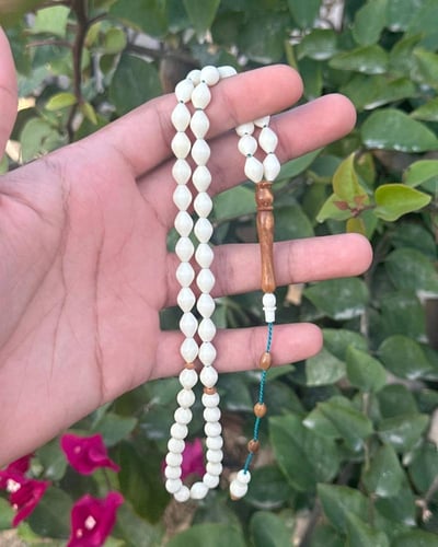 مسباح عظم شاهد كوك