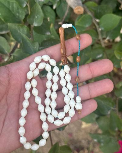 مسباح عظم شاهد كوك