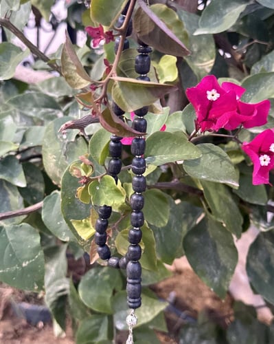 مسباح كبد الحوت (العنبر)