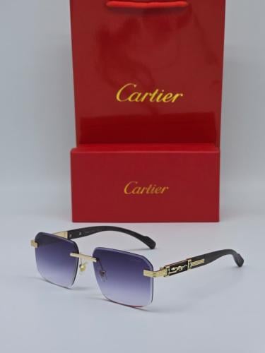Cartier men's sunglasses