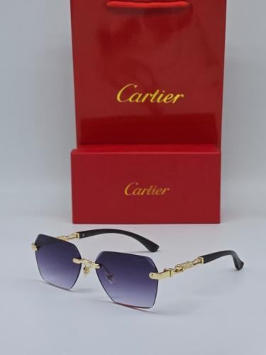 Cartier men's sunglasses