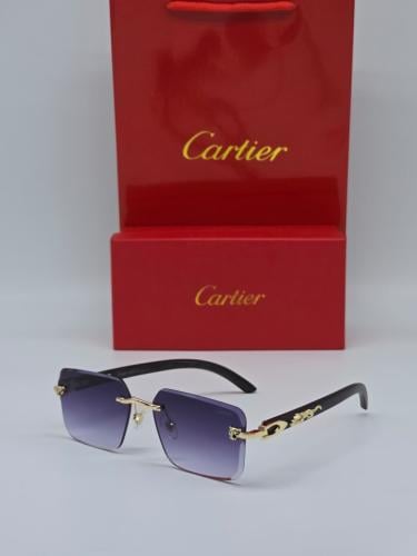 Cartier men's sunglasses