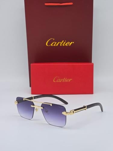 Cartier men's sunglasses