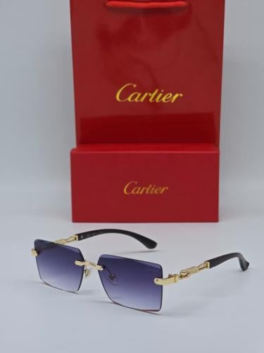 Cartier men's sunglasses