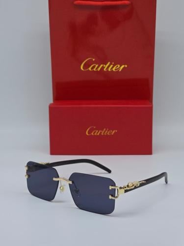 Cartier men's sunglasses