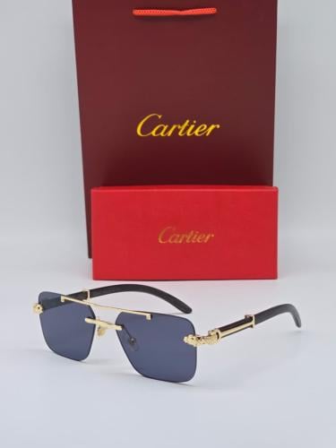 Cartier men's sunglasses