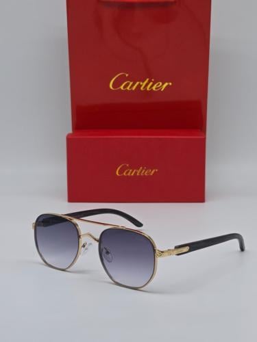 Cartier men's sunglasses