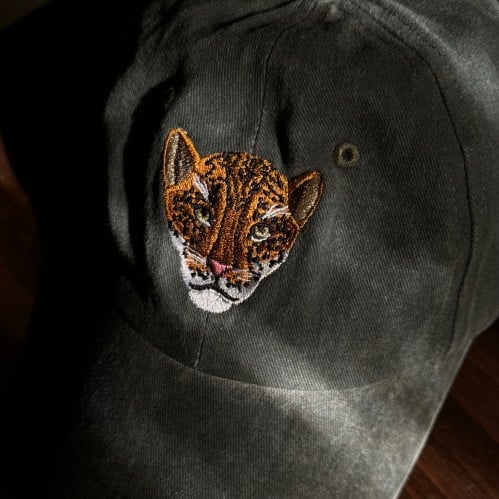 كاب النمر العربي