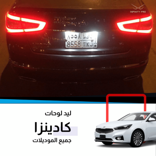 ليد لوحات كادينزا