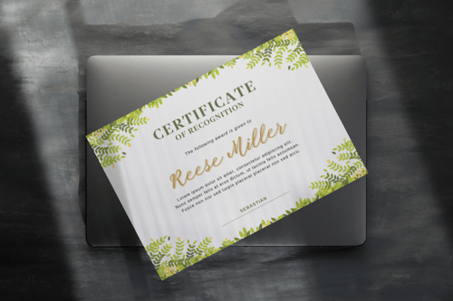 شهادة شكر وتقدير 03