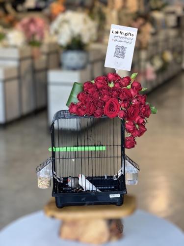 قفص طيور زيبرا