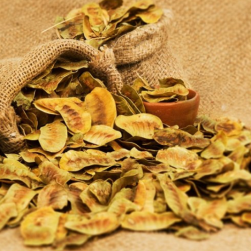 بذور السنامكي ( Senna acutifolia )