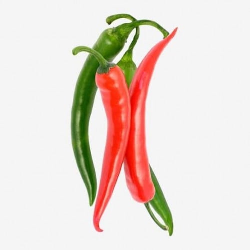 بذور فلفل حار أحمر ( Capsicum annuum )