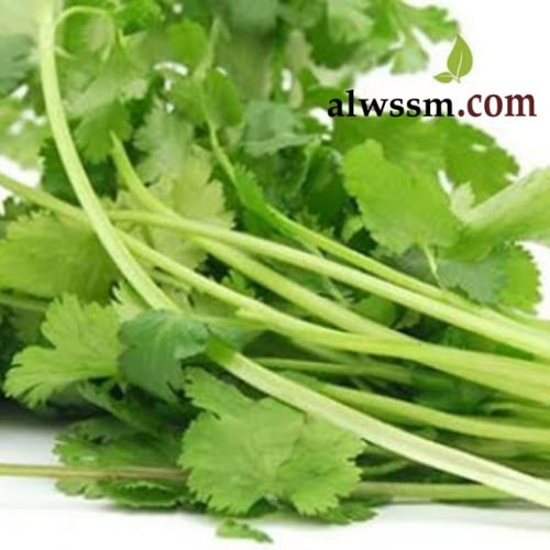 بذور الكزبرة (Coriandrum sativum)