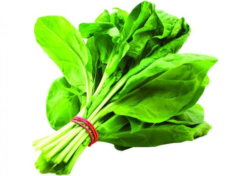 بذور السبانخ ( Spinacia oleracea )